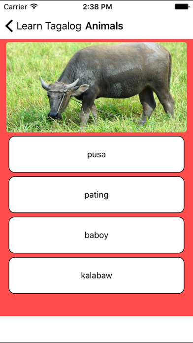 Learn Tagalog - Flashcards Screenshot