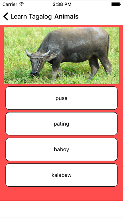 Learn Tagalog - Flashcardsのおすすめ画像5