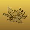Black Lotus Tattoo Gallery icon