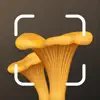 Mushroom Identification ID delete, cancel