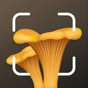 蘑菇 识别, 植物 识别, 识花 - 识别植物软件 AI