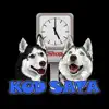 Pet shop Kod sata problems & troubleshooting and solutions