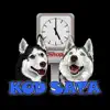 Pet shop Kod sata App Feedback