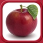 Fruit and Vegetables for Kids app download
