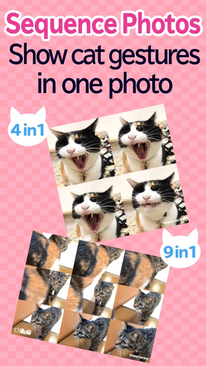 toruneko (KittyCam) screenshot-7