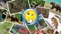 animals for kids, toddler game problems & solutions and troubleshooting guide - 1