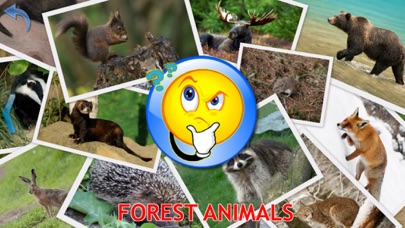 Animals for Kids, toddler game Screenshot