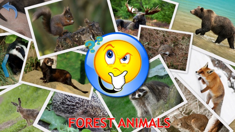 Animals for Kids, toddler game screenshot-4