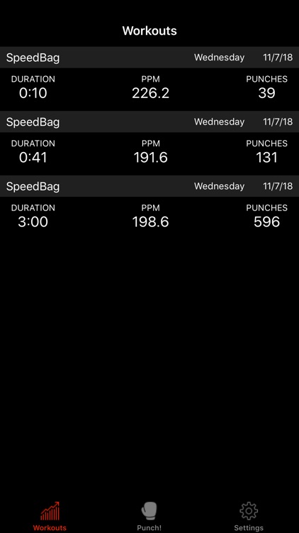 Speed Bag Boxing Trainer