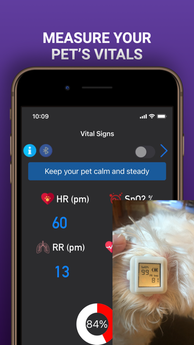 SensePet Screenshot