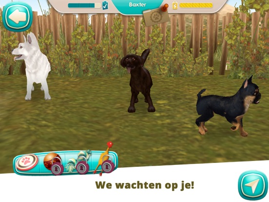 Dog Hotel Premium iPad app afbeelding 8