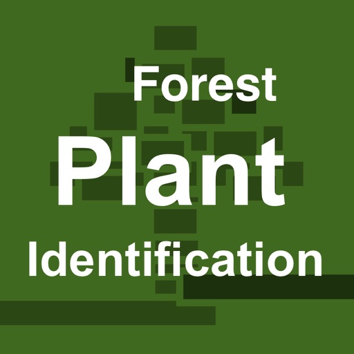 Forest Plant Identification