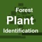 Plant identification free app to identify plants and learn more about trees, flowers, mushrooms and the nature