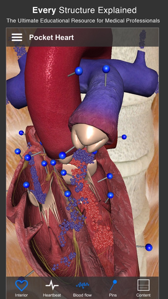 #2. Pocket Heart (iOS) بواسطة: EMEDIA INTERACTIVE LIMITED