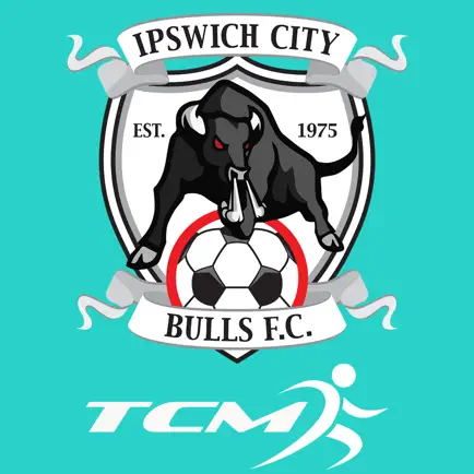 Ipswich City Bulls FC Читы