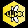 Icon Bees Keys - First Piano Lesson