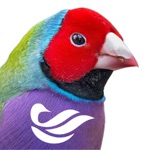 Download Birdly - BirdLife Australia app
