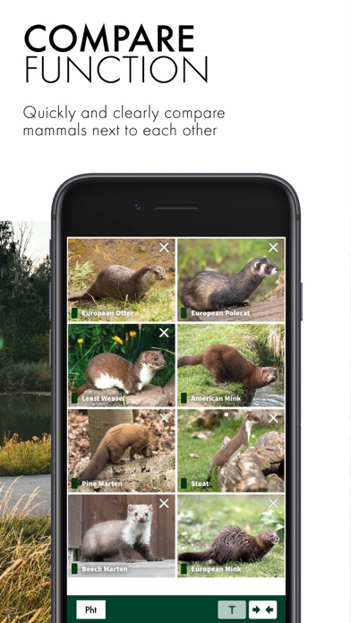 SWAROVSKI OPTIK Wildlife ID Screenshot