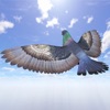 Pigeon Games Flight Simulator