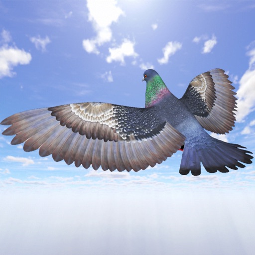 Pigeon Games Flight Simulator Icon