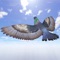 Pigeon Games Flight Simulator
