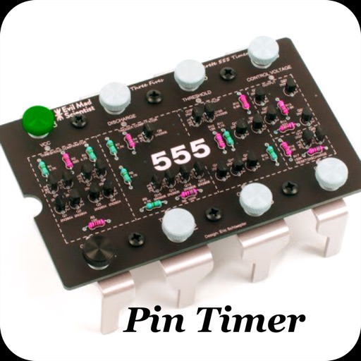 Pin Timer