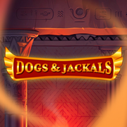 Dogs and Jackals