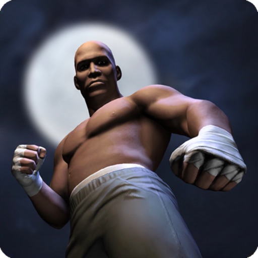 FightHood: Street Boxing Game iOS App