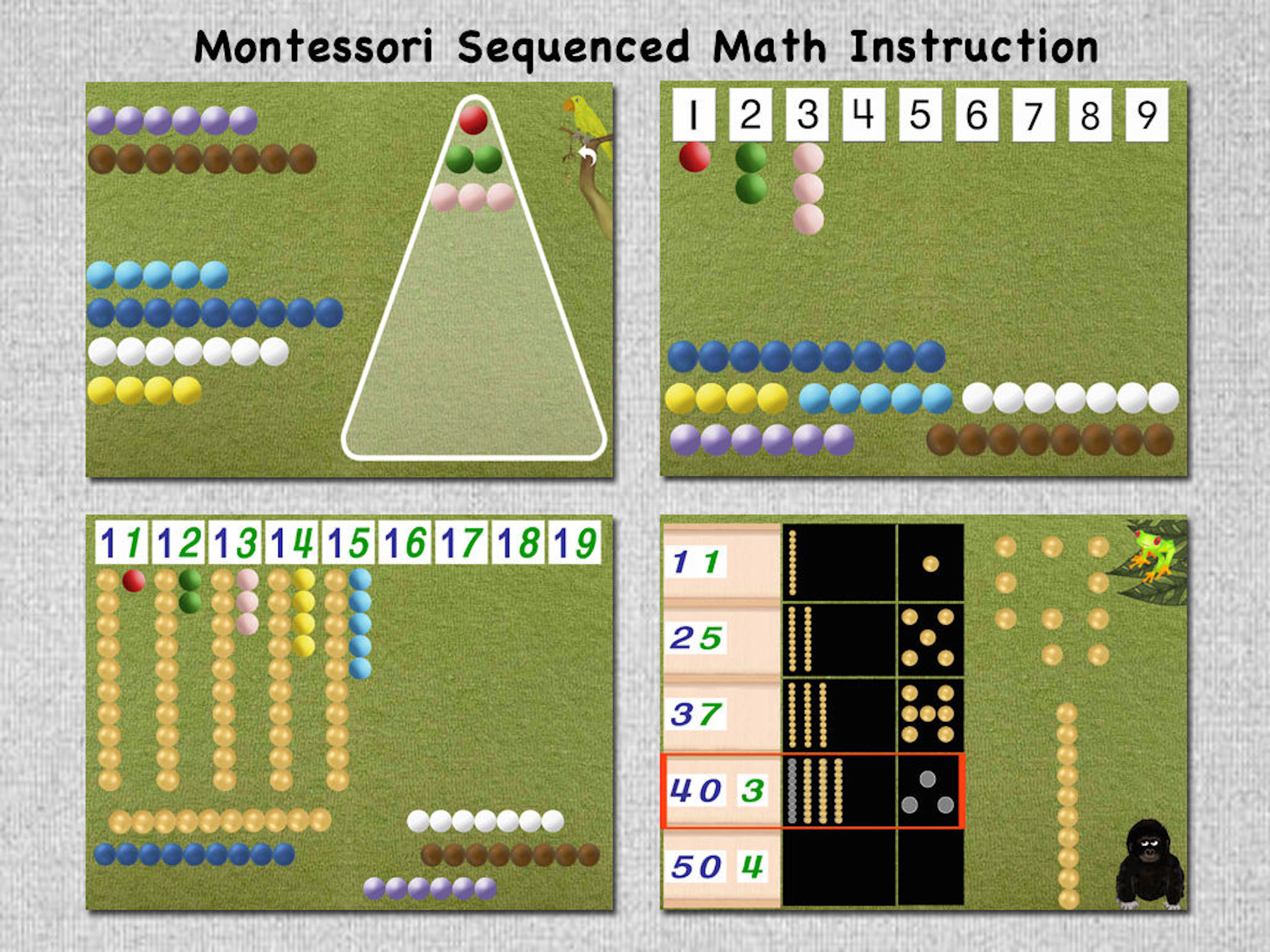 Math Shelf: Early Math Mastery