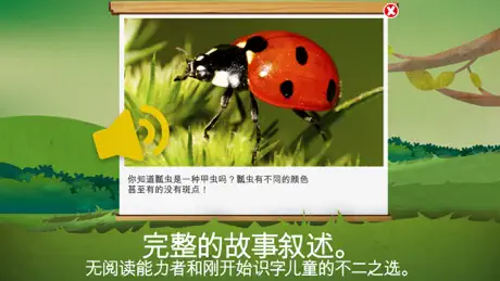The Bugs I: Insects?