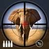 Safari Hunting Sniper 3D icon