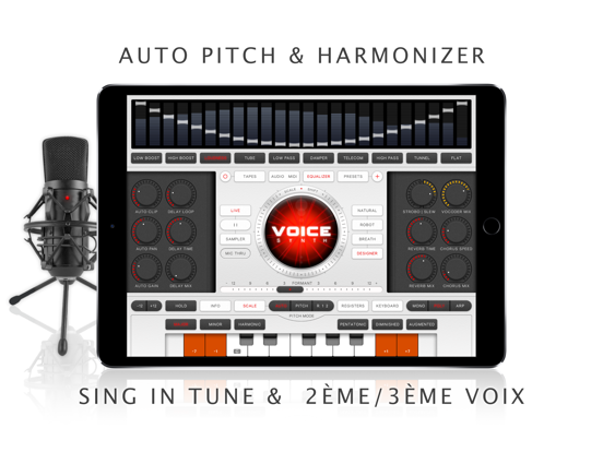 Screenshot #5 pour Voice Synth