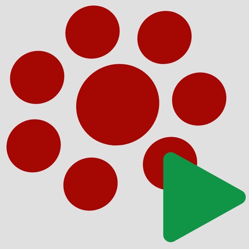 MeasurLink Run Activator