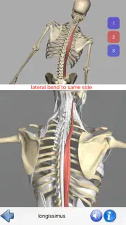 visual anatomy problems & solutions and troubleshooting guide - 2