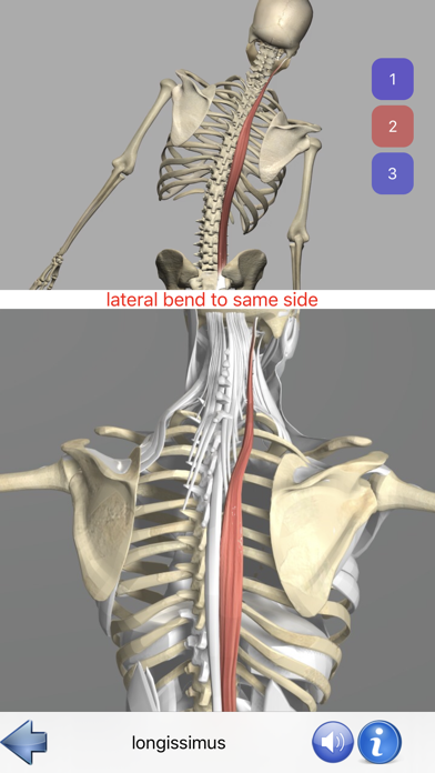 Visual Anatomyのおすすめ画像6