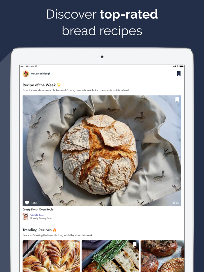 Kneady Bread and Baking Recipes