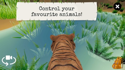 Animal World - 4D Kid Explorer Screenshot