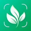 PlantNow-植物の識別