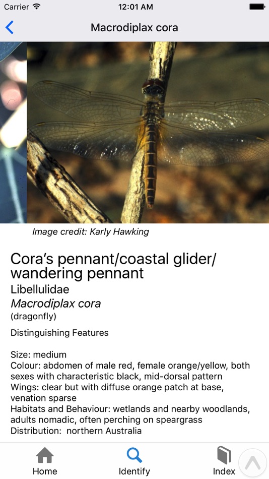#4. Identifly Dragonfly Guidebook (iOS) By: James Friend