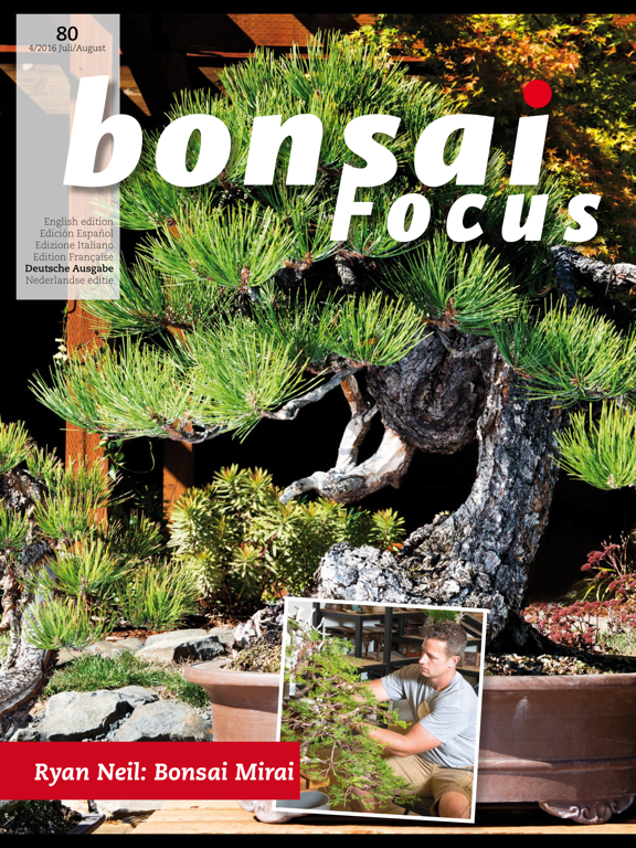 Screenshot #4 pour Bonsai Focus DE