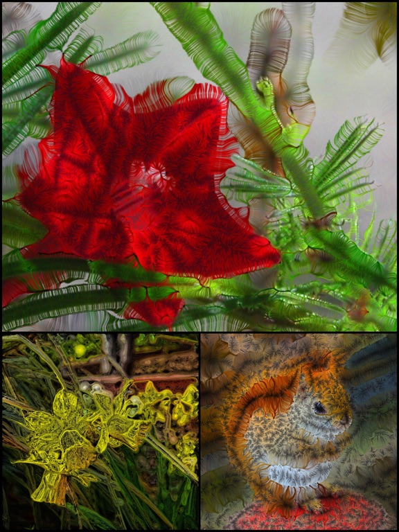 WoolImager iPad screenshot 4 - Photo & Video app