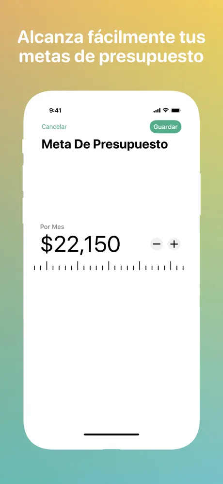 Fin - Presupuesto y gastos