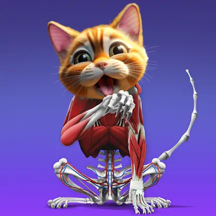 IDLE Animal Anatomy Читы