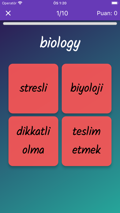 Lucky 10. Sınıf İngilizce Screenshot