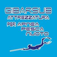 Gibarsub logo