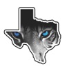 Gunter ISD, TX icon