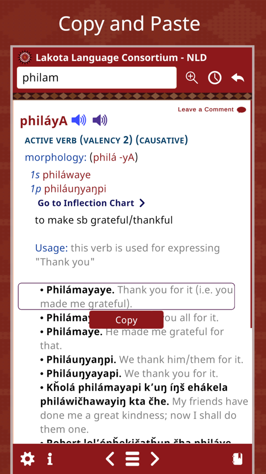 #8. New Lakota Dictionary - Mobile (iOS) Podle: Lakota Language Consortium