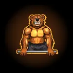 Oso Workout App Support