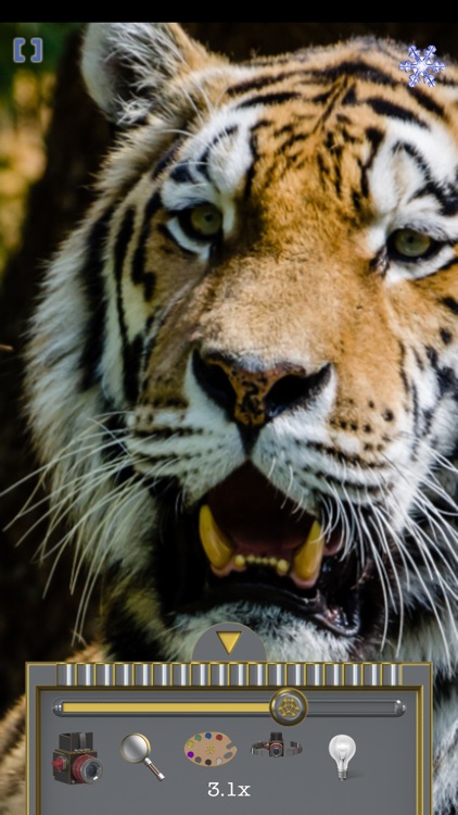 Magnifier (TiAu) LITE screenshot-8