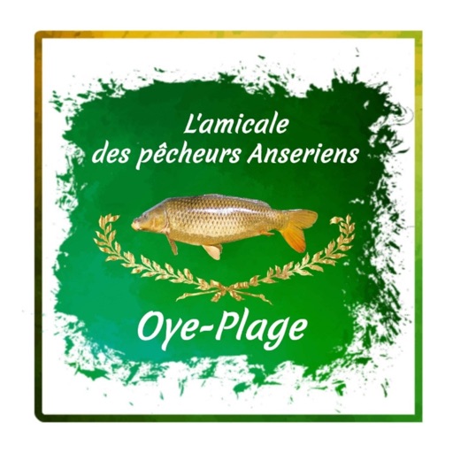 AMICALE DES PECHEURS ANSERIENS icon